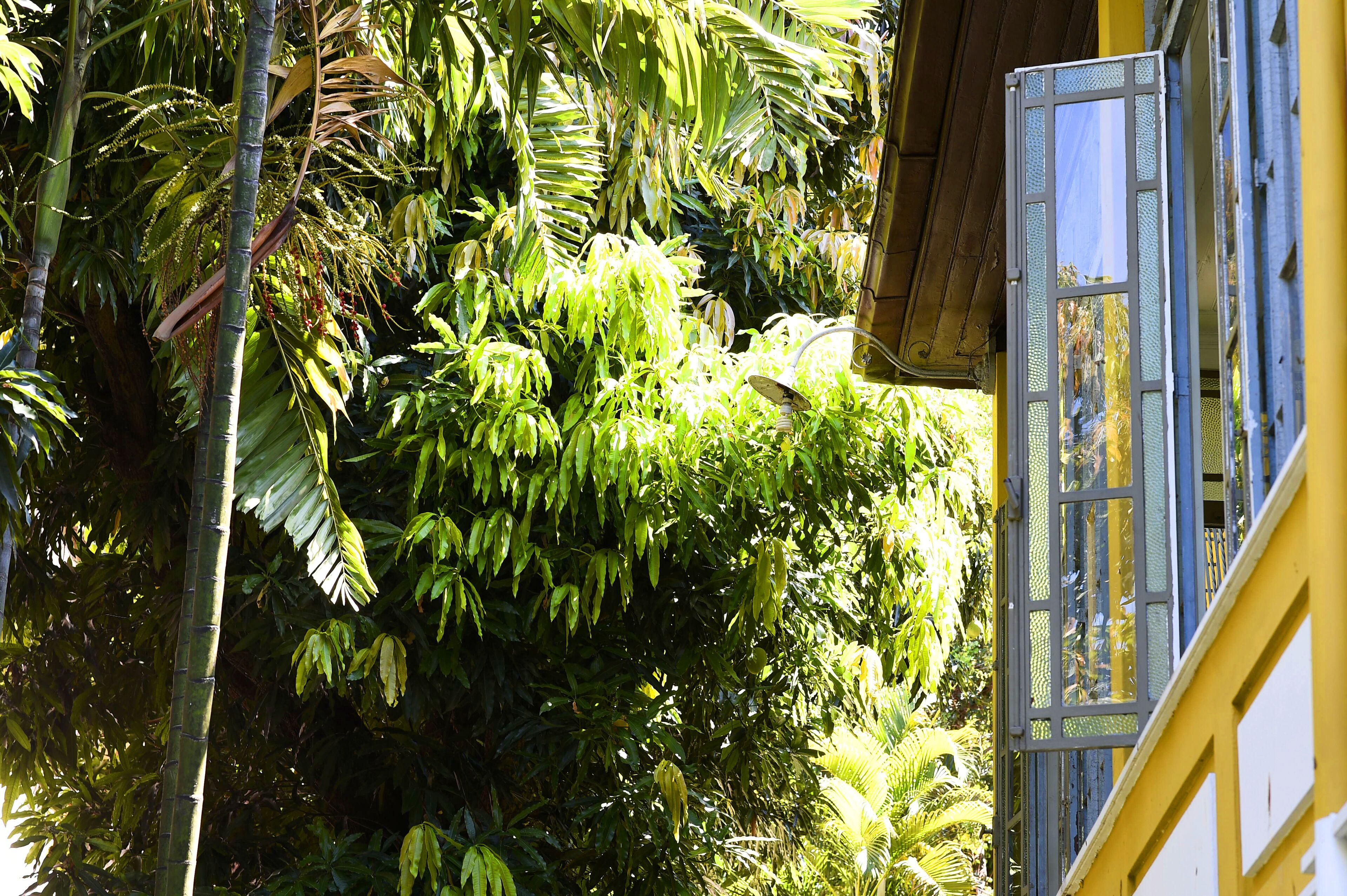 Casa Amarelo Hotel - Rio de Janeiro — Photos 1